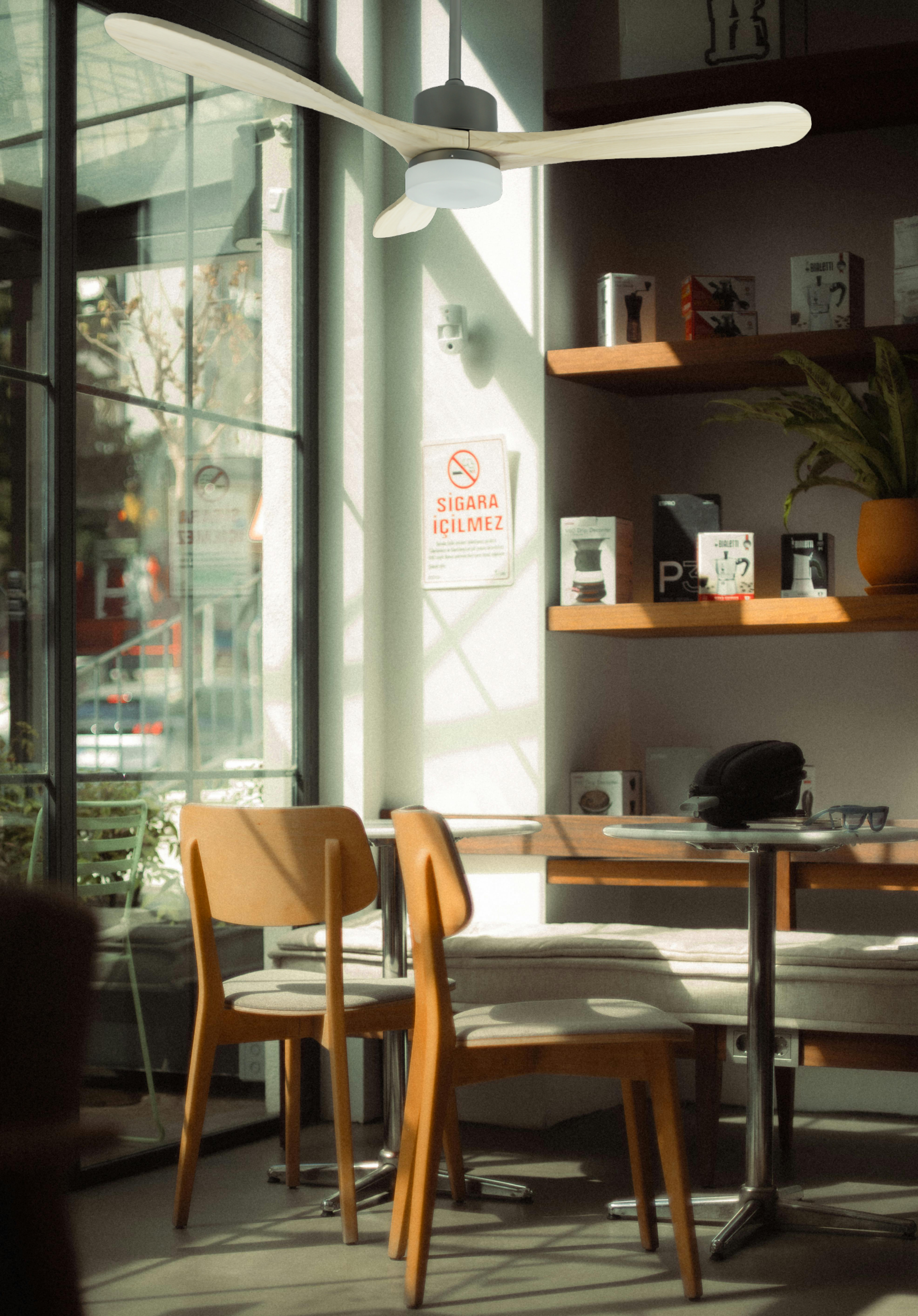 Factors Affecting The Future Development of Energy-saving Ceiling Fan Industry