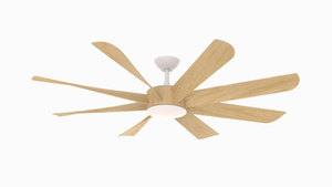DRN56-8S005 8ABS Remote Contol DC 220-240V Voltage Ceiling Fan for Dining Room